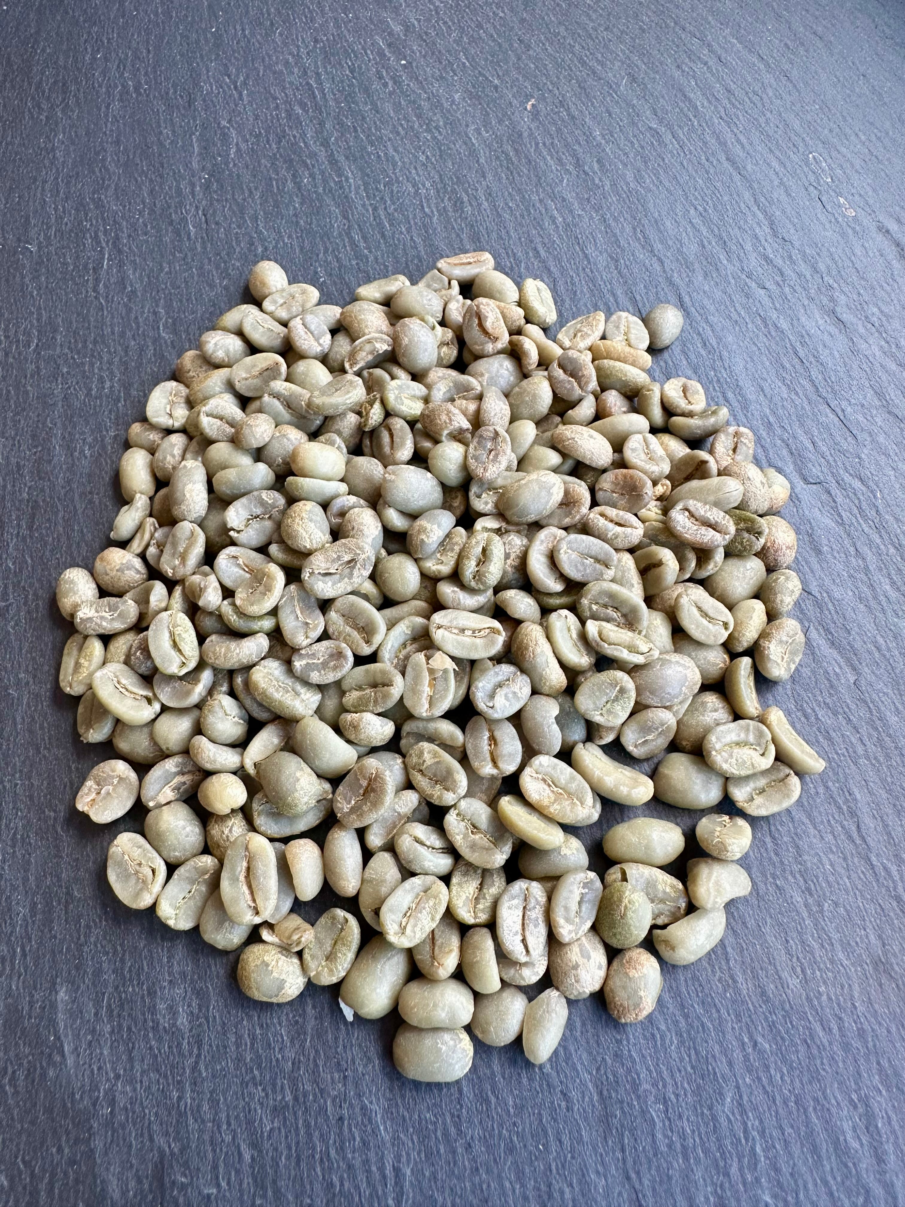 Panama Typica