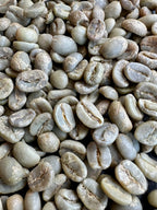 Panama Typica