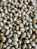 Panama Peaberry Caturra/Catuai