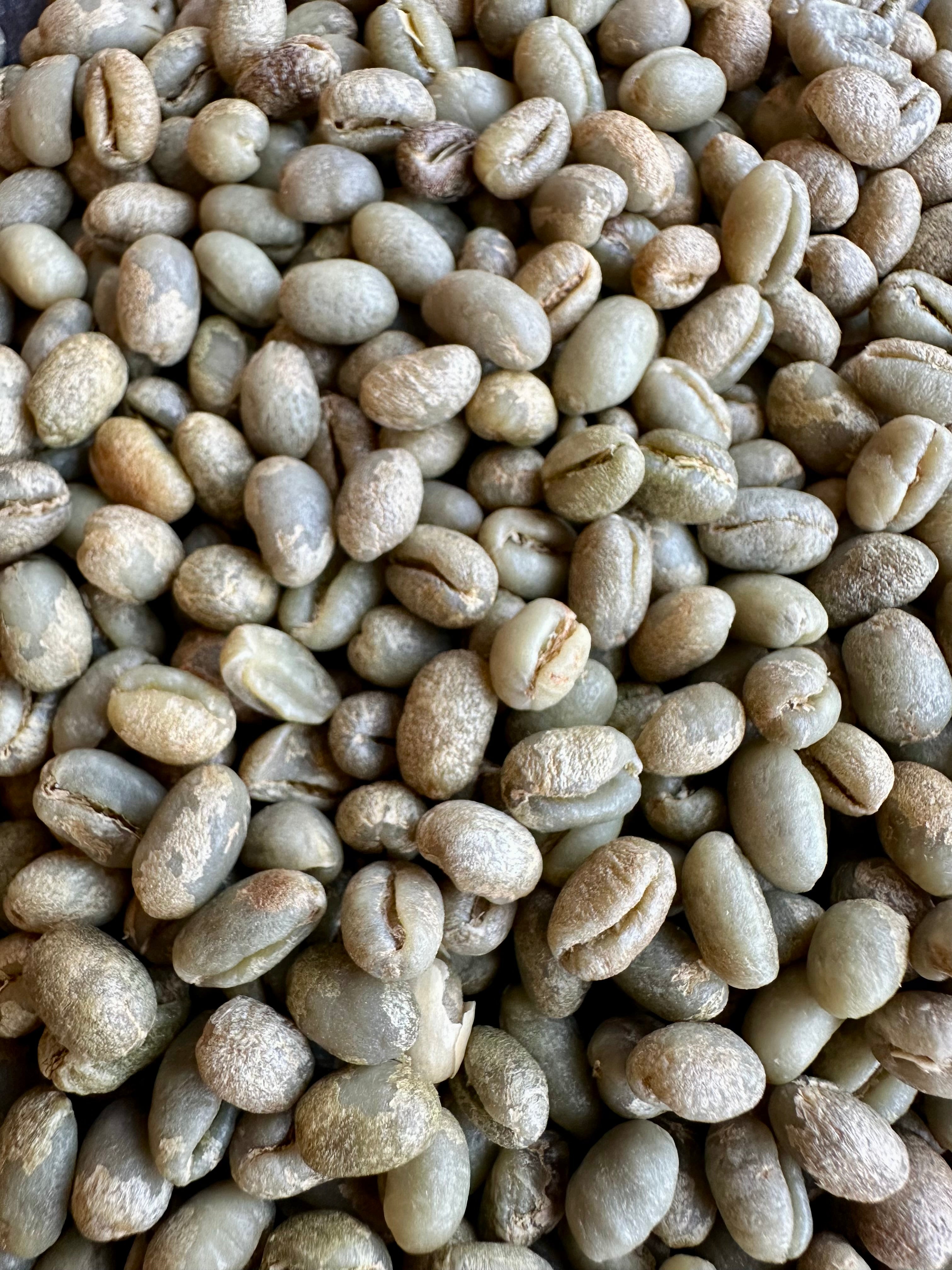 Panama Peaberry Caturra/Catuai