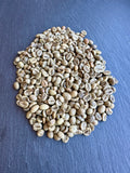 Vietnamese robusta polished