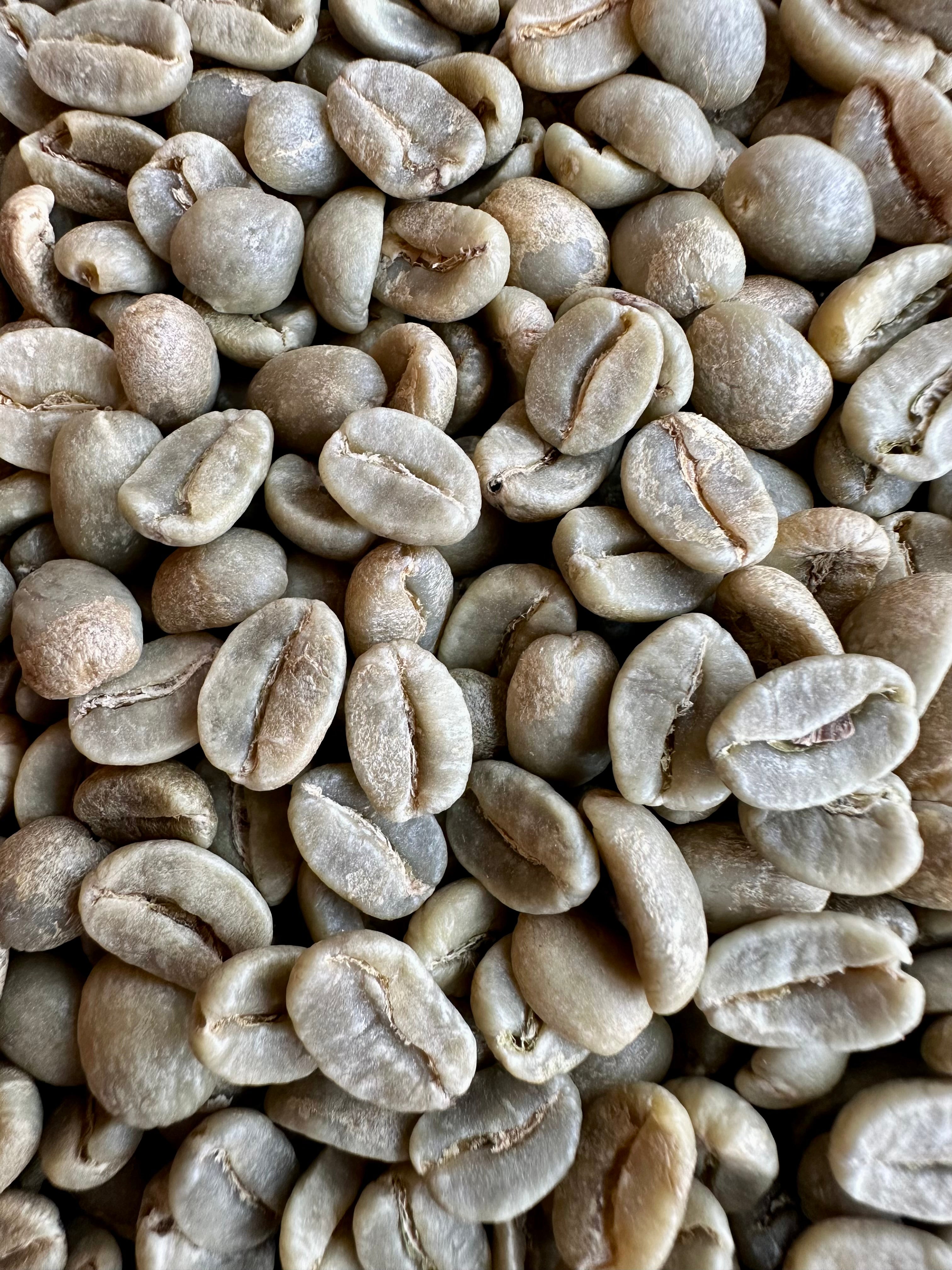 Kolumbia Supremo