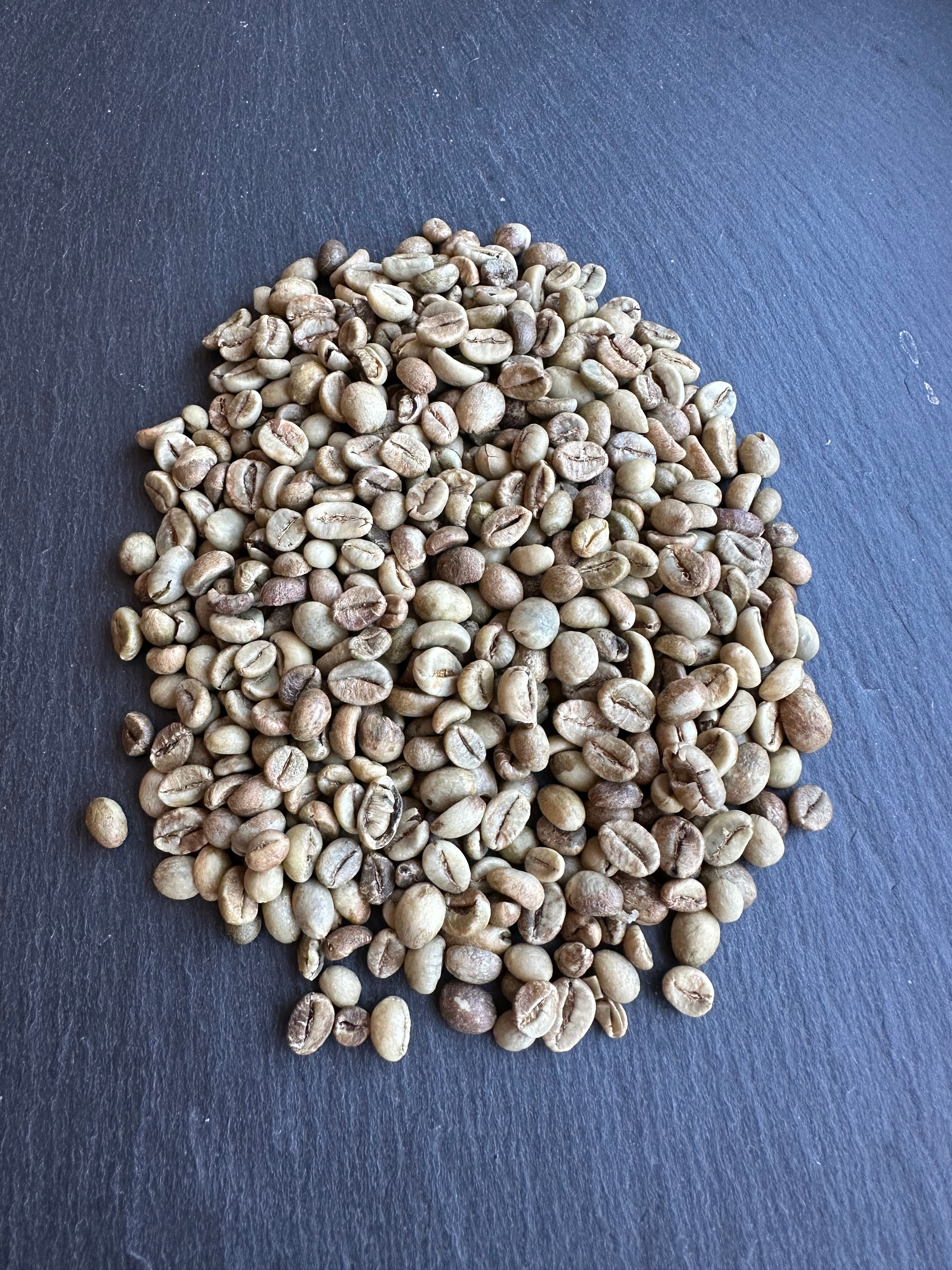 Indonézia robusta selected