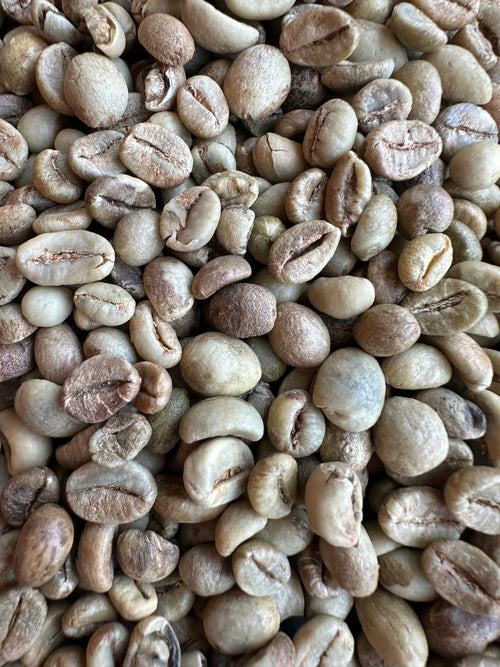 Indonésie robusta selected