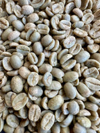 Panama Caturra/Catuai