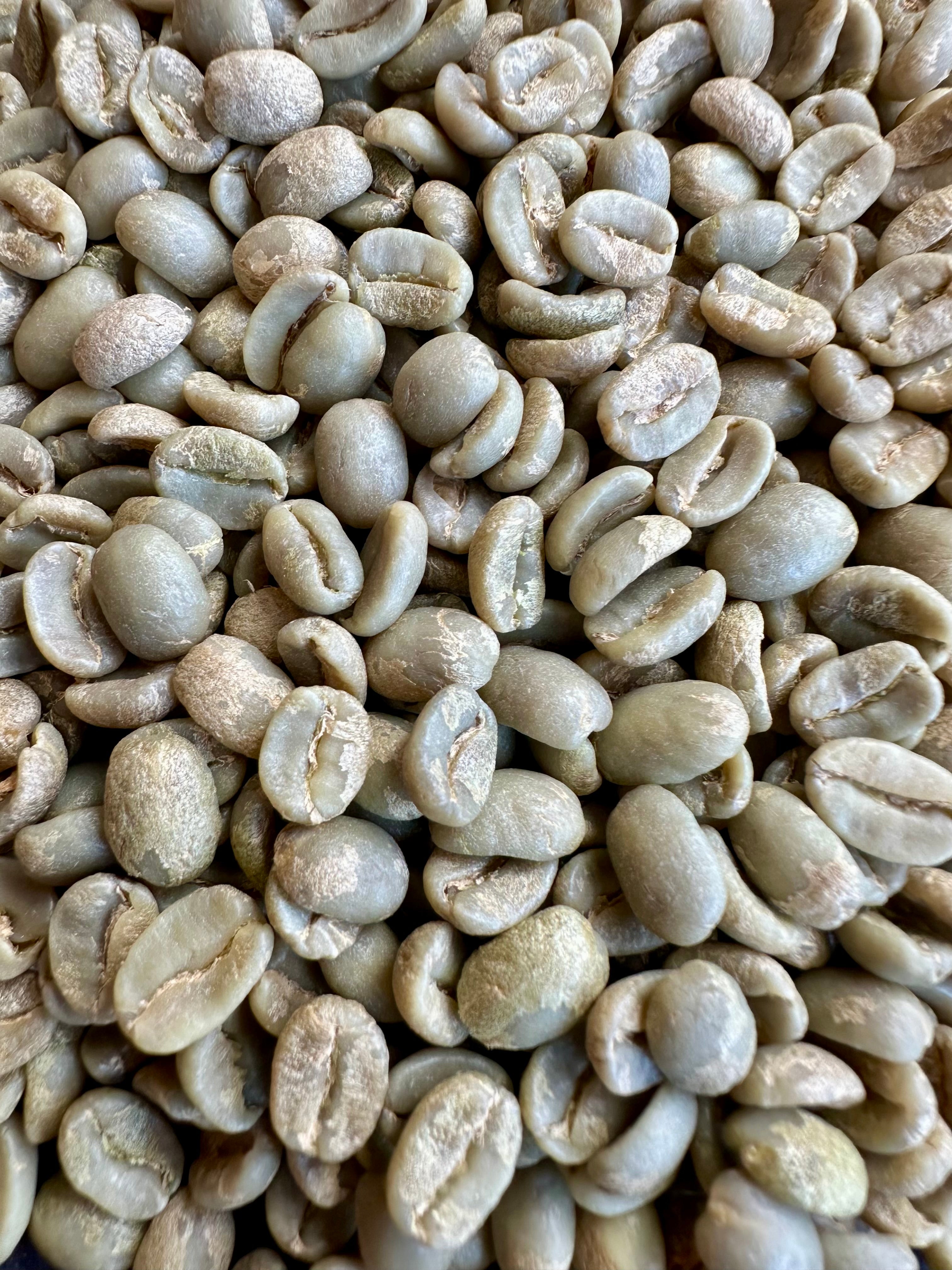 Panama Caturra/Catuai