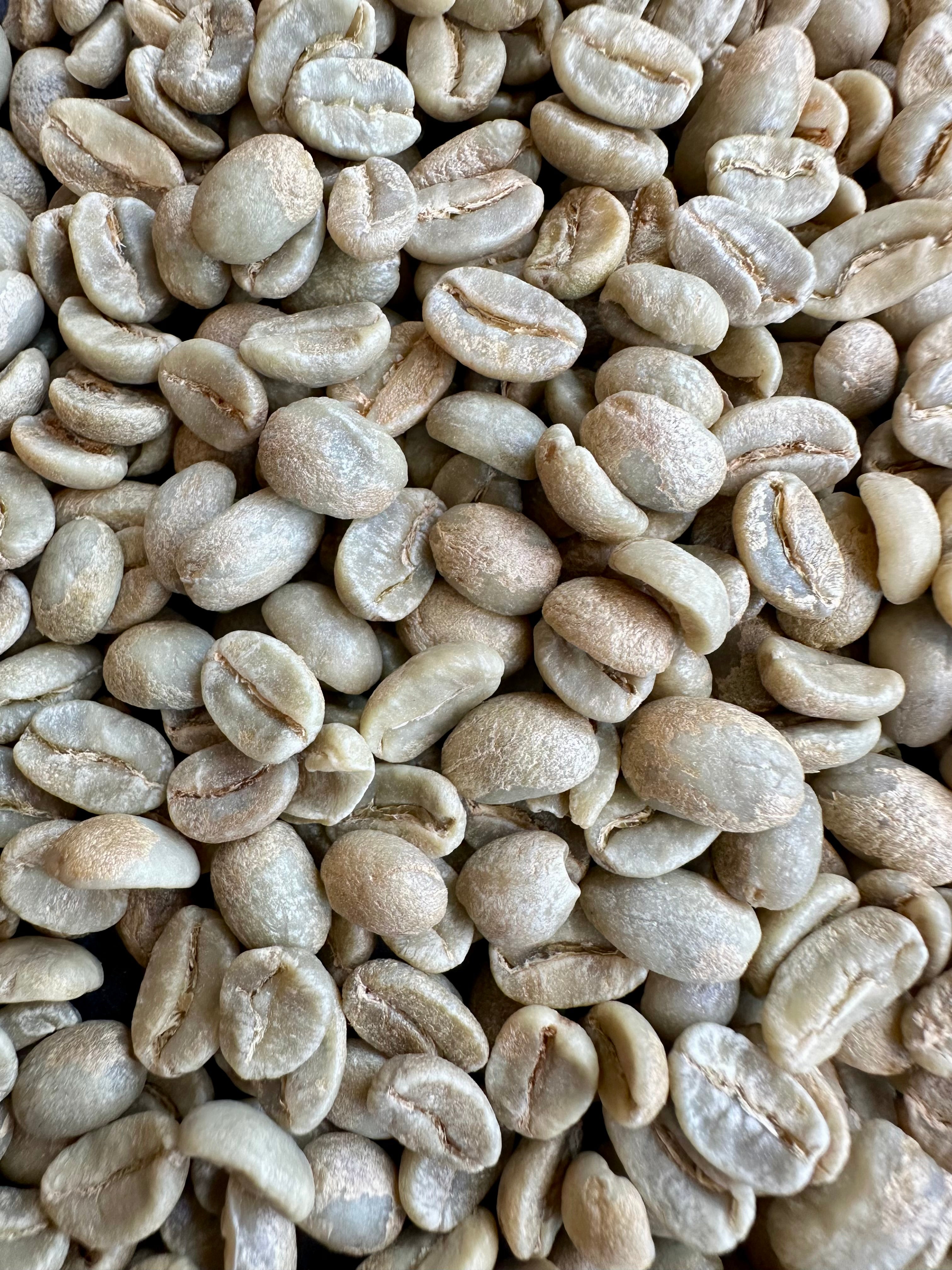 Kolumbia Red Bourbon